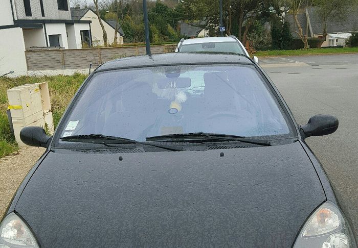 Test pompons invités - 4