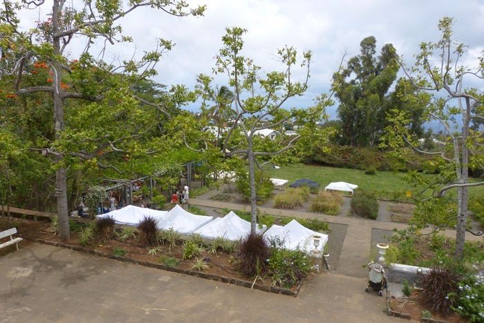 jardin arrière