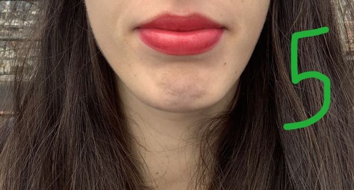 10 teintes de rouge à lèvres à l'essai à la lumière naturelle 6