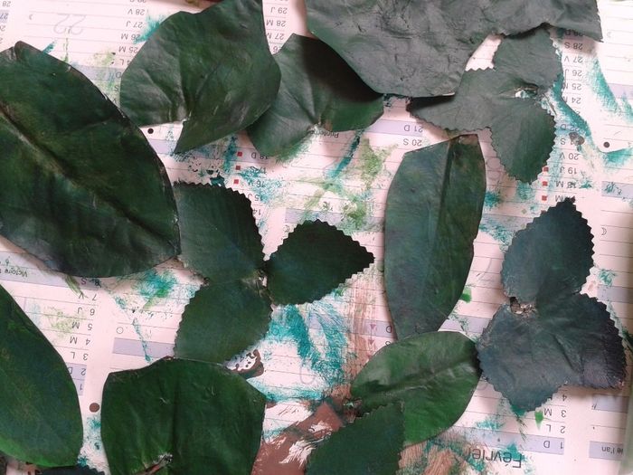 feuille
