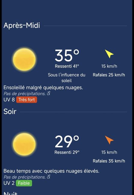Achats de dernière minute : les éventails 🤣🥵 1