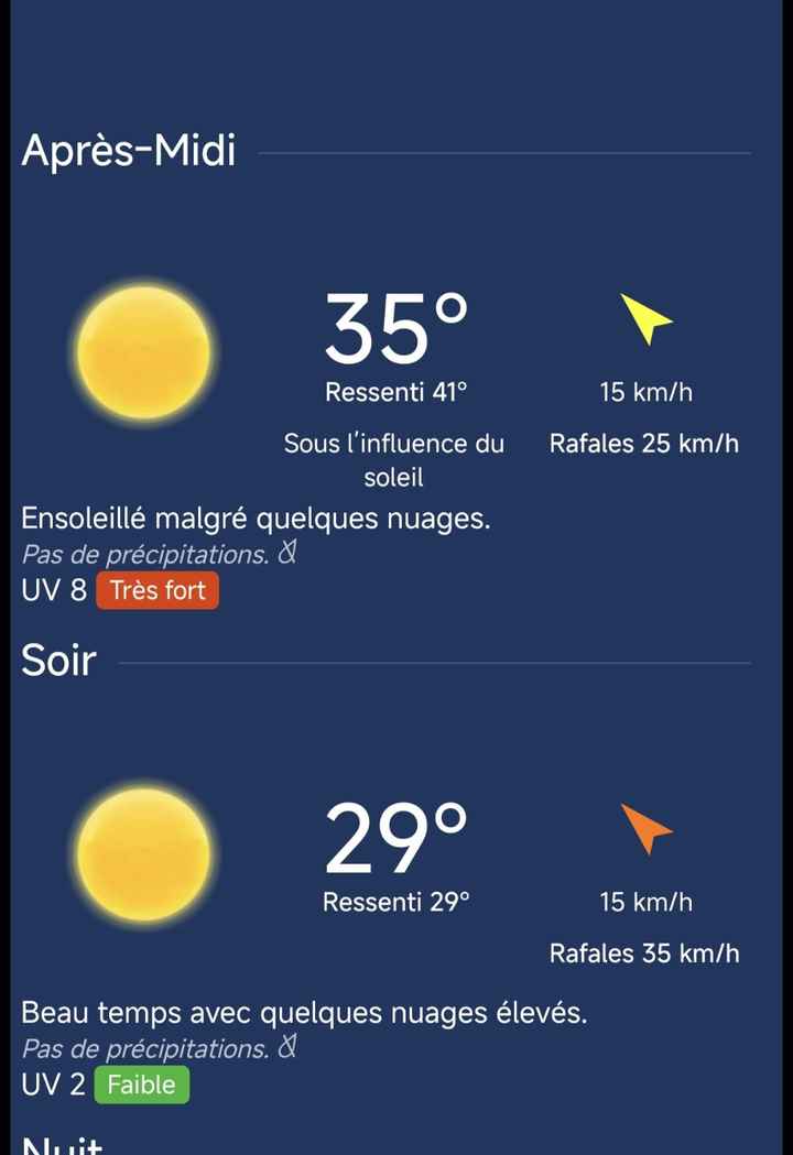 Achats de dernière minute : les éventails 🤣🥵 - 1