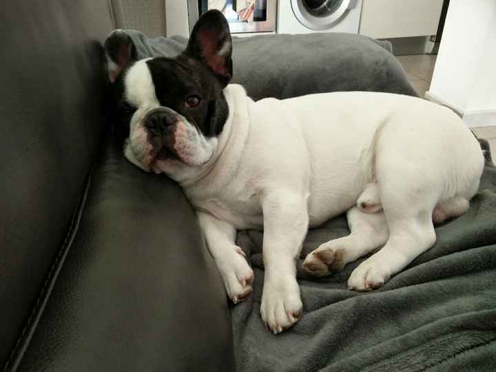 Aujourd'hui tout le monde participe... - 1