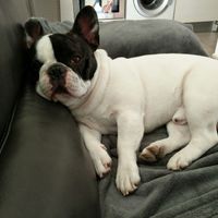 Aujourd'hui tout le monde participe... - 1