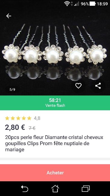 Barrette a cheveux - 1