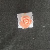 Essais rond de serviette - 1