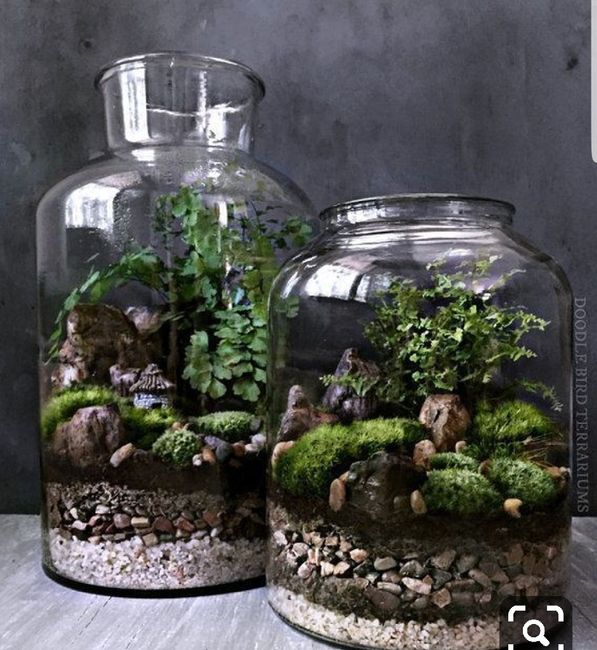 Idée terrarium - vase 7