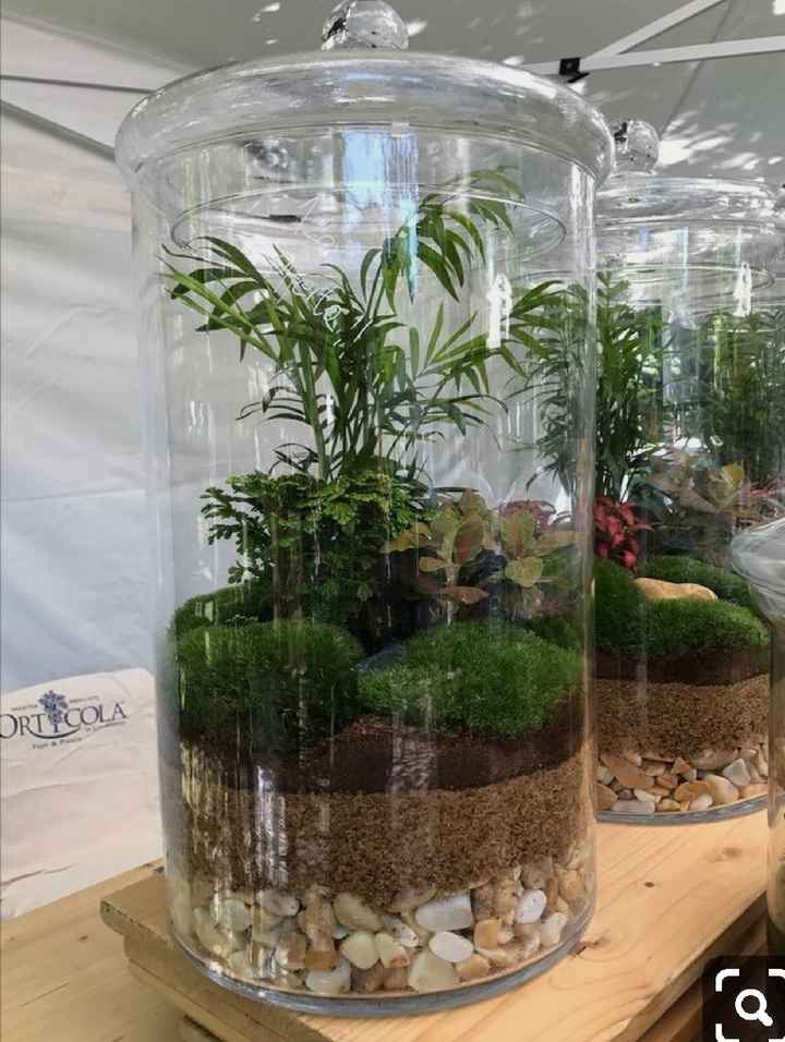 Idée terrarium - vase - 1