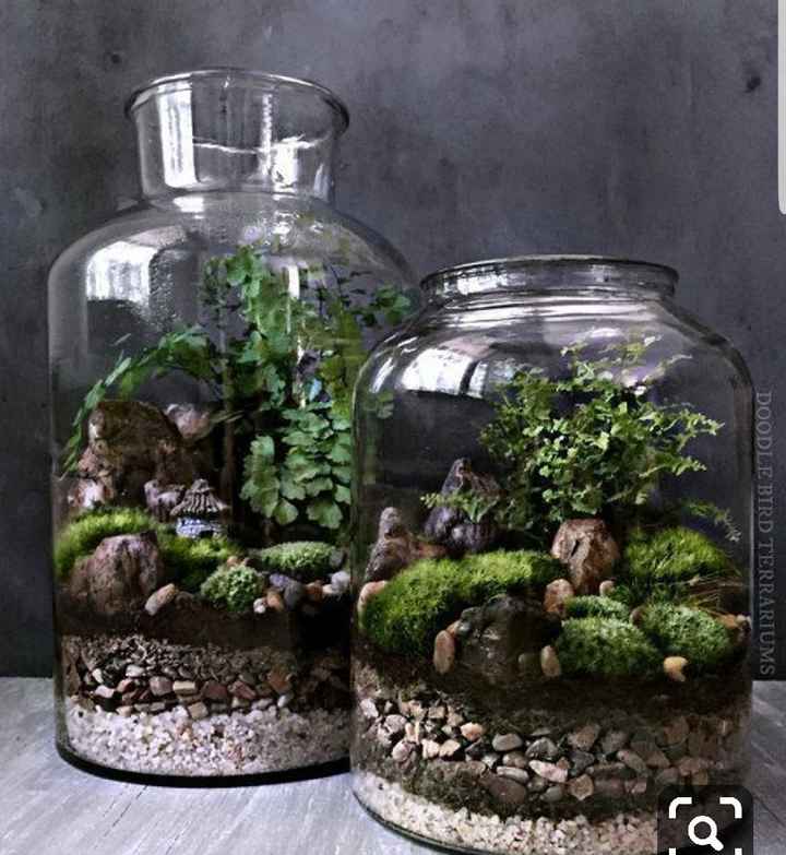 Idée terrarium - vase - 2