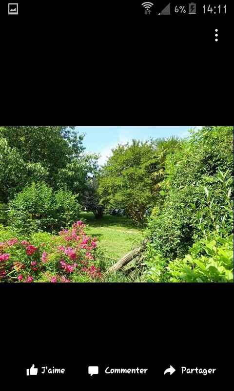 Des avis sur ce lieu - 1