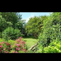 Des avis sur ce lieu - 1