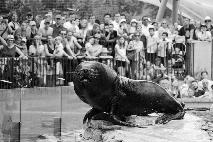 Zoo de Schönbrunn