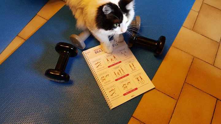  Nos animaux ont une place importante 💕 - 4