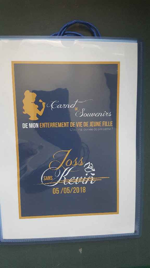 Mon evjf de rêve ❤ - 1