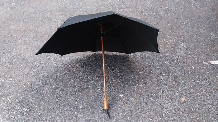 Parapluie transparent Lidl - 2