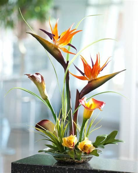 oiseau de paradis et callas