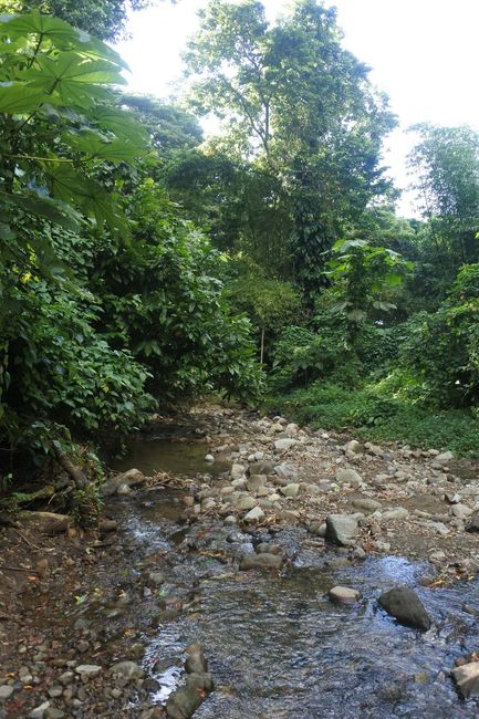petit ruisseau