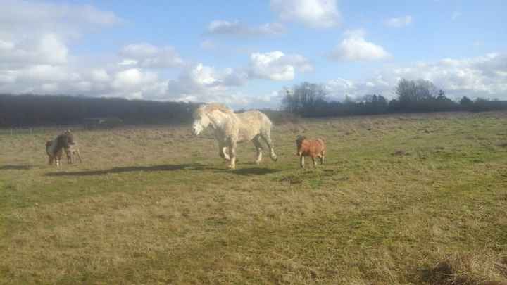 Bébé et ses copains  