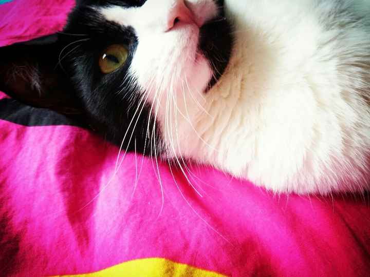 "notre amour est éternel ludivine et stan" - 2