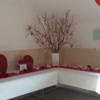 mon arbre à dragées 