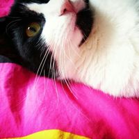 "notre amour est éternel ludivine et stan" - 2