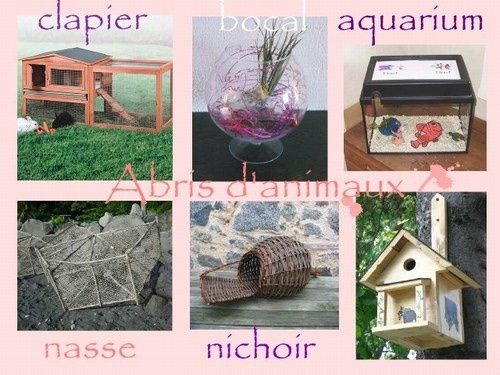 urne nature 