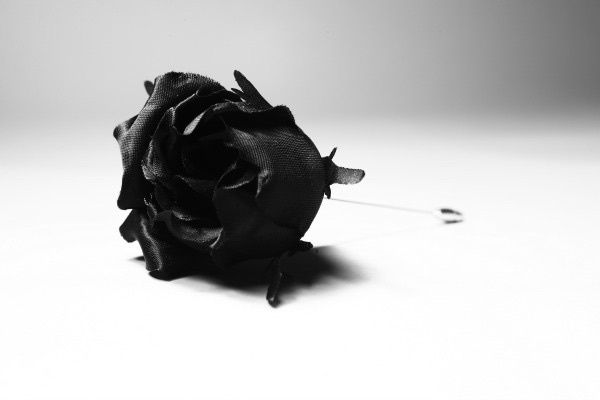 boutonnière 