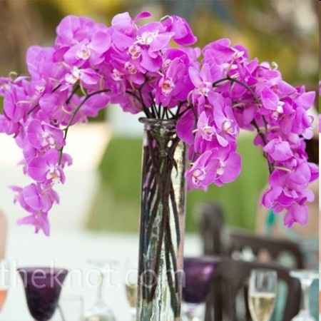 les miennes seront blanches