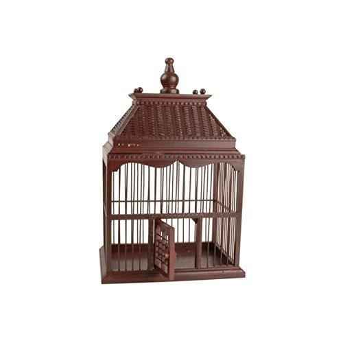 ma cage 