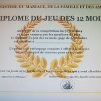 DIPLOME DES 12 MOIS