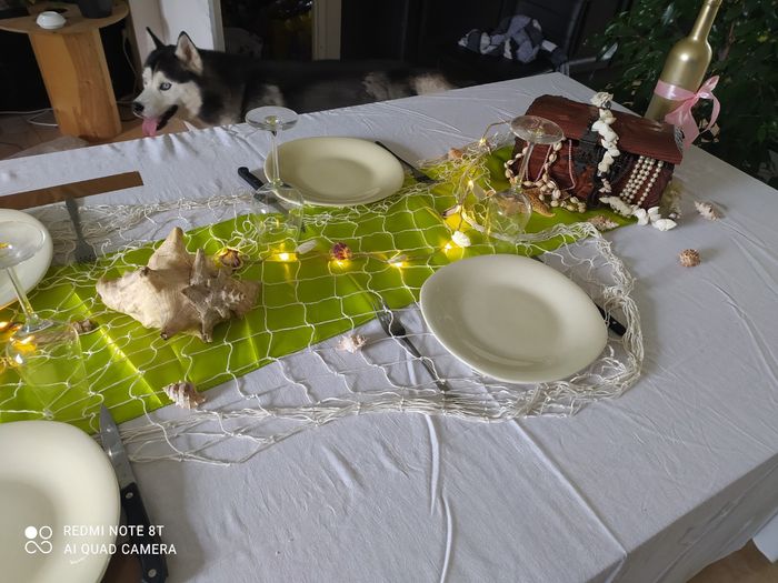 Essai table Disney 20