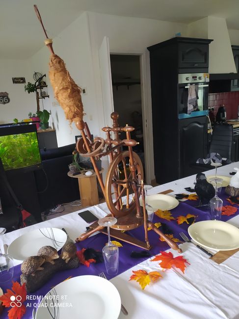 Essai table Disney 26