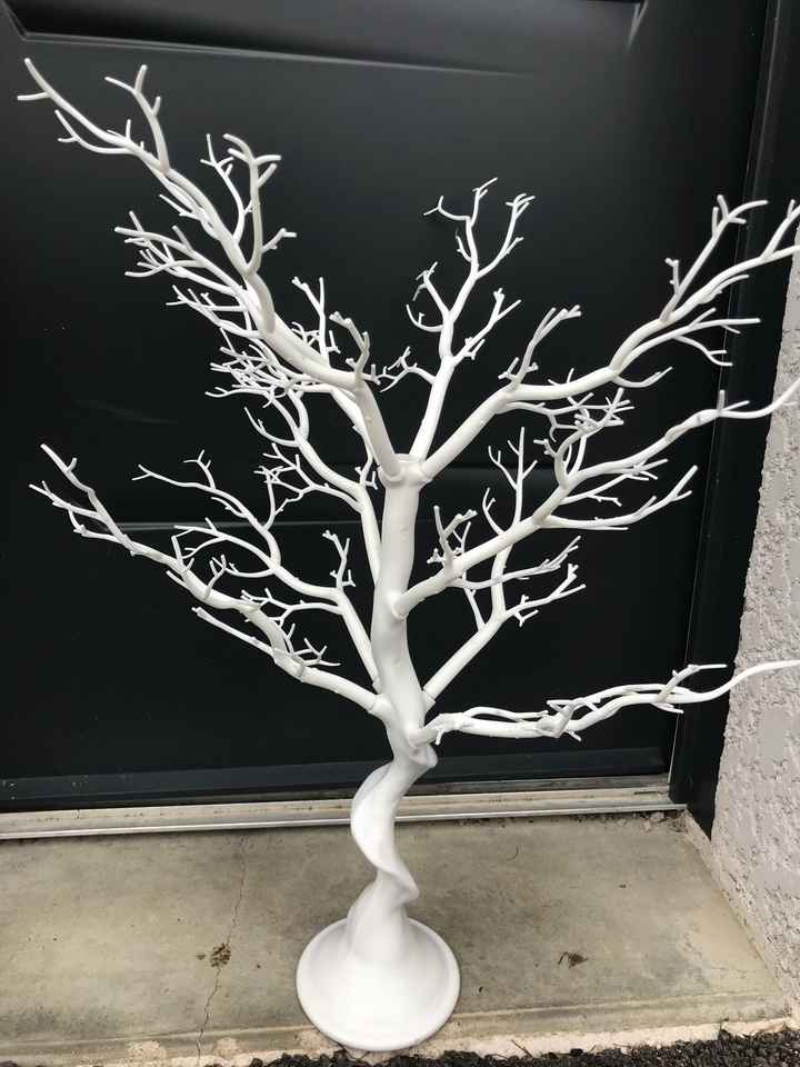  Colis du jour : mon arbre - 1