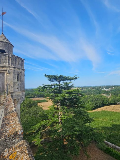 Récit de mon mariage civil - 6