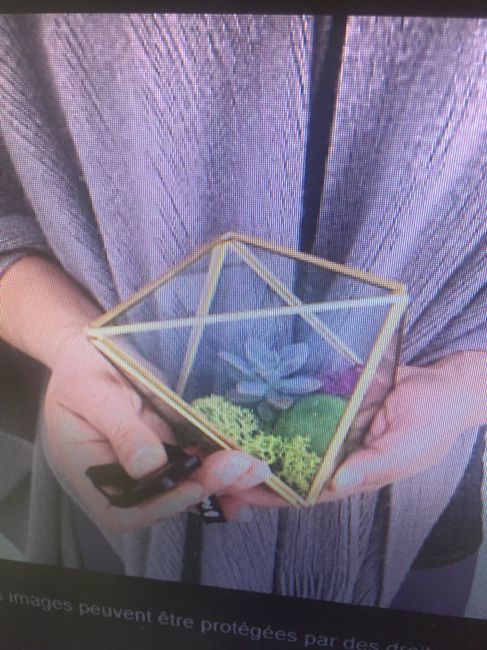 Décoration succulente - 2