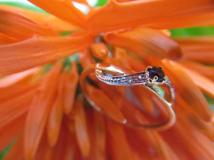 Bague de fiançailles - 1