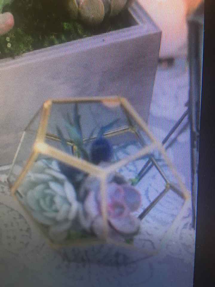 Décoration succulente - 1