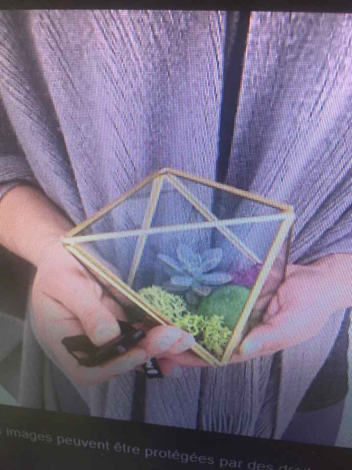 Décoration succulente - 2