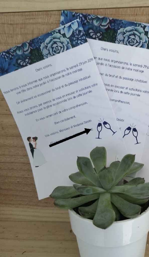 Princesse qui fait le facteur ❤️ - 1