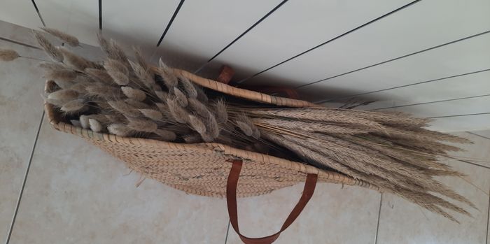 Cueillette du jour! 3