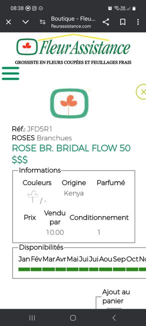 Rose bridal flow 3