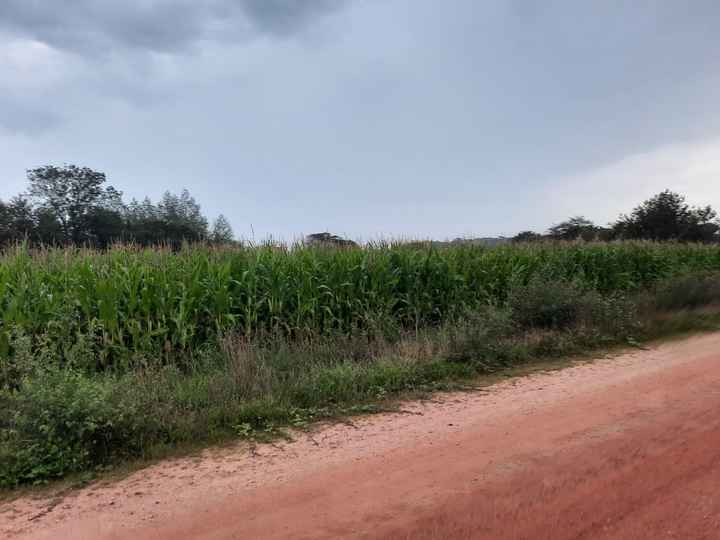 Balade pluvieuse  ☔️🌧 - 1