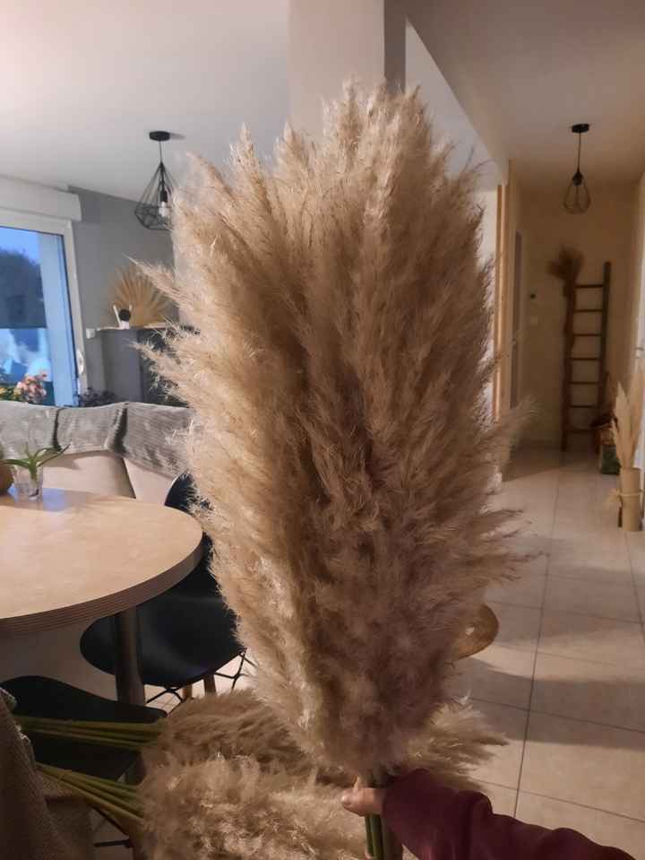 Pampas - 1