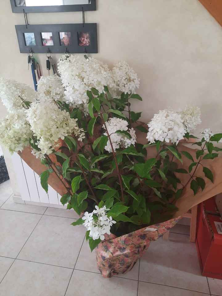 Surprise du jour! - 1