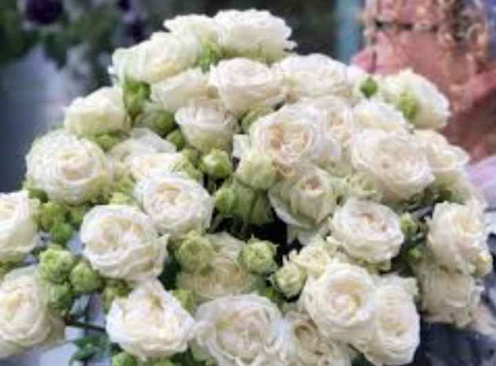 Rose bridal flow - 1