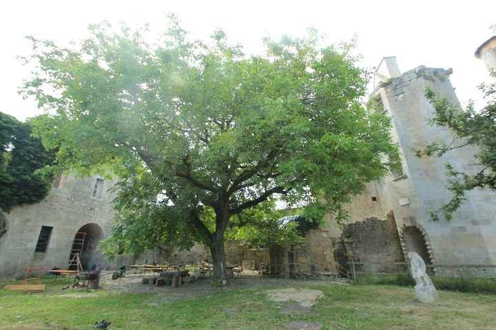Château