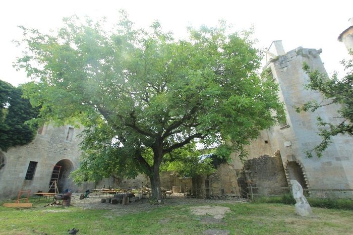 Château