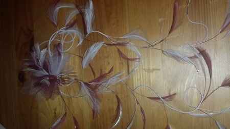 plumes