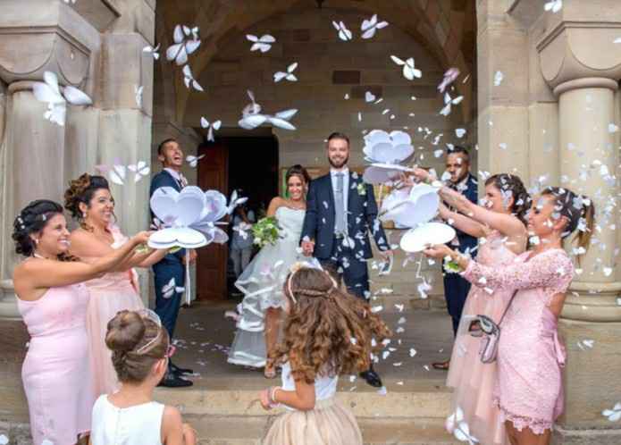 Papillon magique - 1