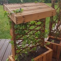 Préparation de la cérémonie laïque - 2